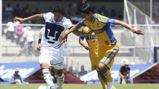 El brasileño Juninho dice que en Tigres están hartos del tema Alan Pulido