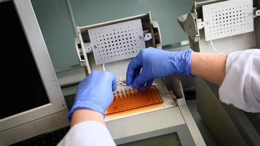 Sin ningún positivo en últimos resultados de prueba COVID-19 en la NBA