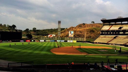 FEDEBEIS implementará el uso de la repetición instantánea en el Béisbol Mayor
