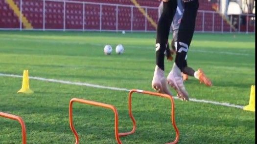 Sául Maldonado - Director Técnico del Tauro FC