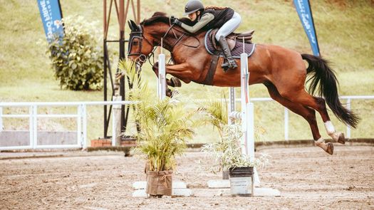 Más de un centenar de binomios vieron acción durante tres días de competición.&nbsp;