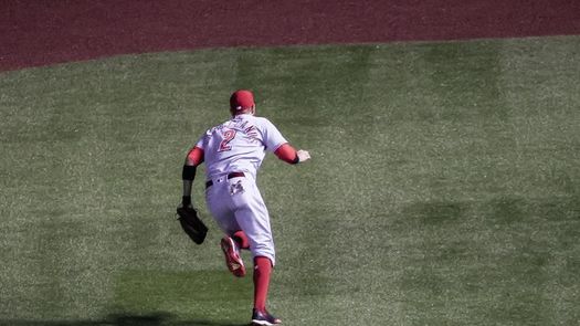 12-1. Castellanos jonronea y pega triple como líder en la ofensiva de Rojos