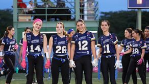 Fighting Owls del AIP