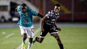 Tauro vs León: El toro planta cara al león