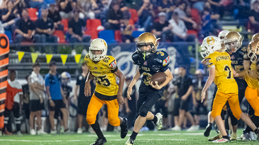 El viernes 31 de octubre se disputarán las Semifinales de la categoría Mini Contact de la KFL. El viernes 31 de octubre se disputarán las Semifinales de la categoría Mini Contact de la KFL.