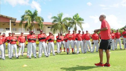 Leones ganan tercero y siguen líderes en béisbol dominicano
