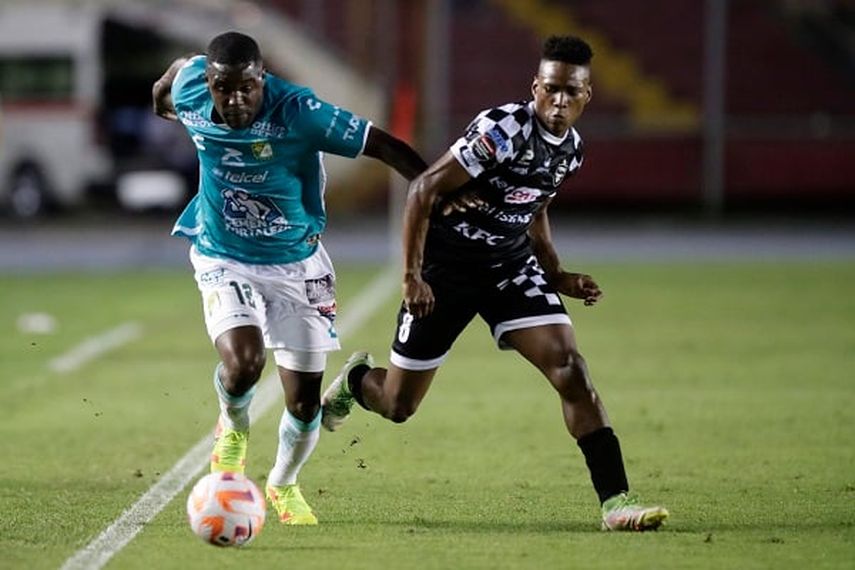 Tauro vs León: El toro planta cara al león