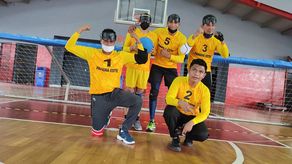El Campeonato Nacional de Goalball cuenta con 12 equipos en competencia, 3 en la categoría de damas y 9 en la de varones.