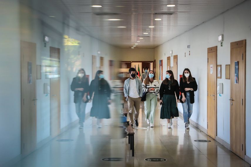 Baskonia y Alavés proyectan una universidad para 1.500 alumnos y 500 empleos