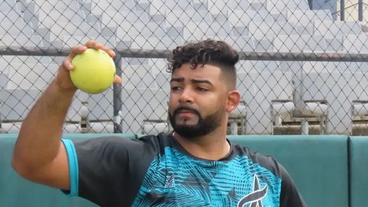 Béisbol Panamá: Se da a conocer el calendario de Probeis