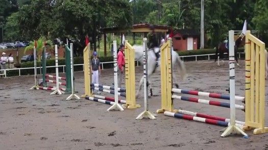 X Encuentro de Fronteras - Equitación