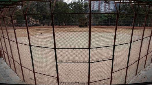 La liga venezolana de béisbol retrasa su inicio hasta finales de noviembre