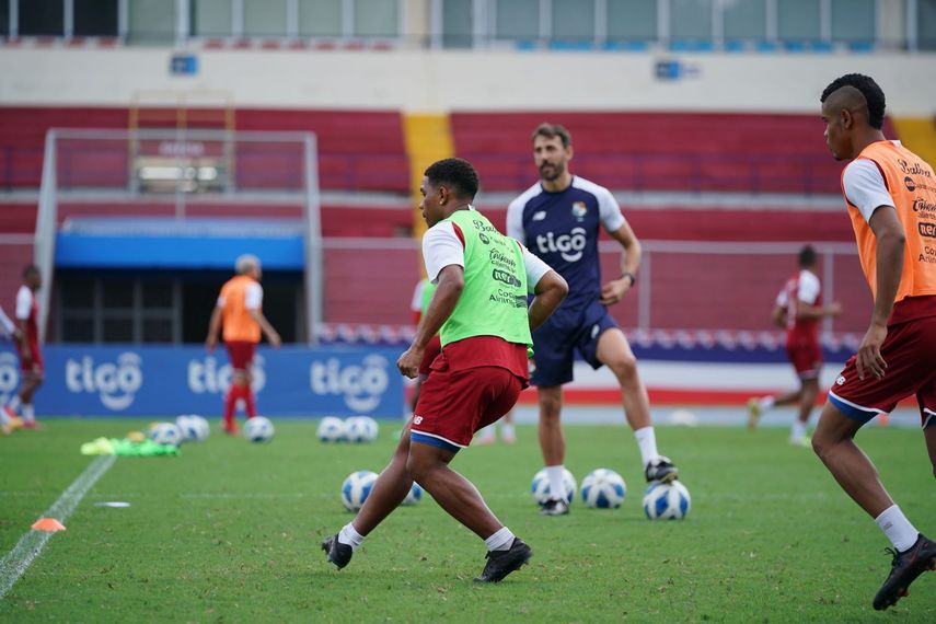 Diciembre a puro microciclo