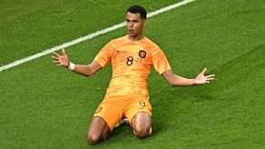 Gakpo jugará en el Liverpool de Klopp