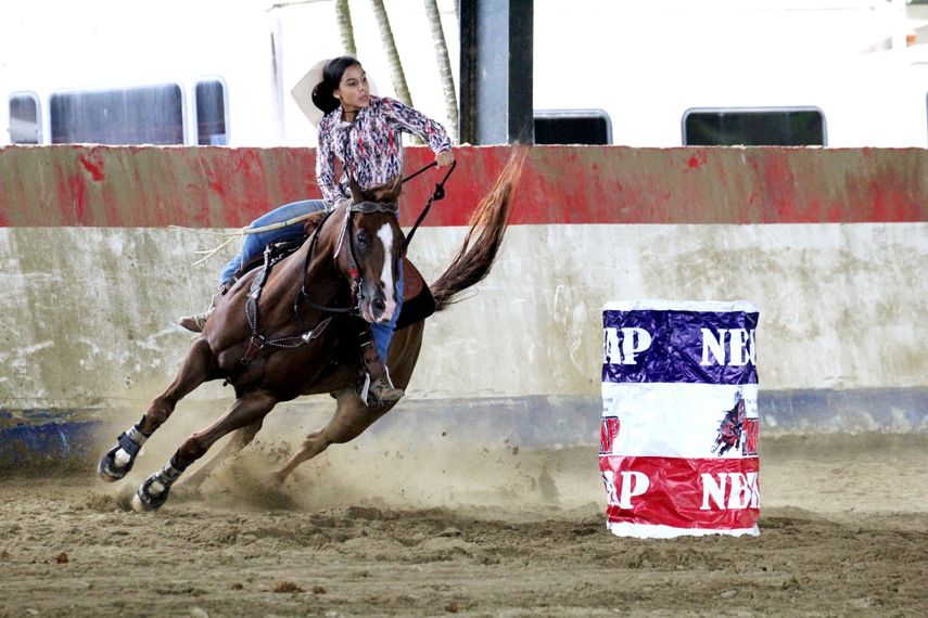 Campeones nacionales en caballos de barril