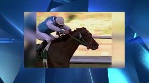 COS Leyenda 2019 - Premio Fernando Eleta