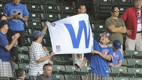 Los Cachorros honran la memoria de Roberto Clemente