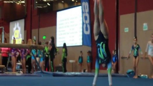 5ta. Competencia Internacional de Gimnasia Artística