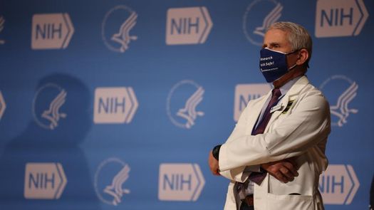 Doctor Fauci considera que podría darse la vuelta de aficionados al béisbol