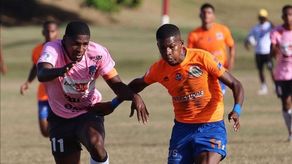 Potros y Árabe en la Hacienda.&nbsp;