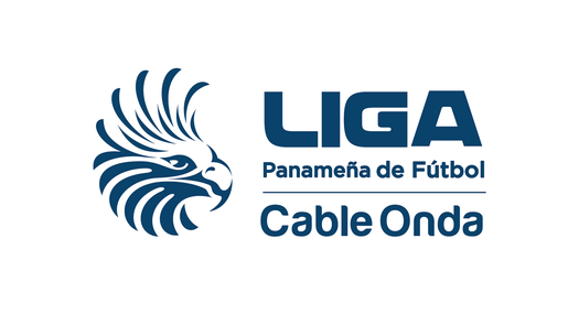 Nuevo comunicado de FEPAFUT