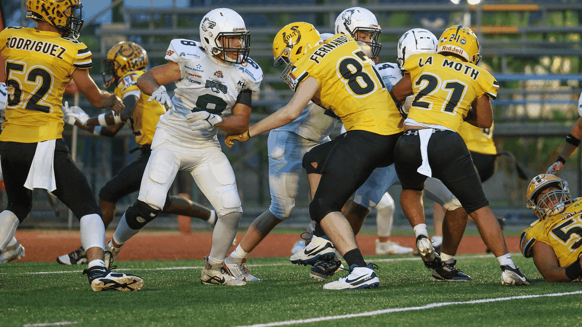 Kolts y Owls siguen la lucha por los primeros lugares de la KFL Contact Varsity Kolts y Owls siguen la lucha por los primeros lugares de la KFL Contact Varsity