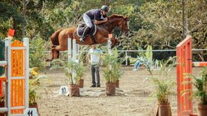 Arranca la temporada de Campeonato Nacional de Equitación.