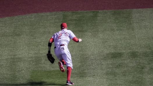 7-4. Castellanos jonronea en la victoria de los Rojos