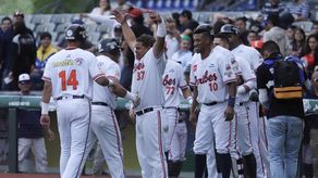Caribes avanzan a postemporada de la LVBP por noveno año consecutivo