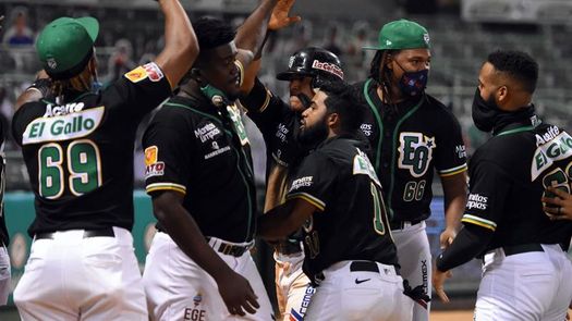 Los Tigres castigan a los Gigantes en la liga dominicana