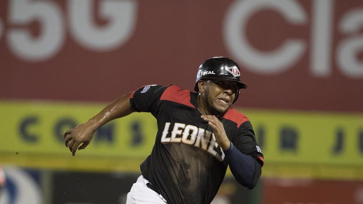 Los Leones logran su segunda victoria y marchan primeros en el béisbol de Rep. Dominicana