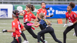 Las Fighting Owls de la AIP mantienen el liderato en la tabla de posiciones tras empatar con las Spartans de La Salle.&nbsp;