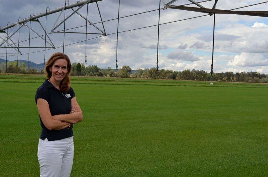 La madre del césped del Bernabéu: Juegan sobre un pedazo de Extremadura