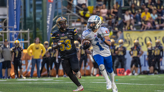 La octava jornada de la temporada 2025 de la Kiwanis Football League (KFL) en la división Contact Juvenil Masculino, se jugará el próximo sábado 7 de mayo.