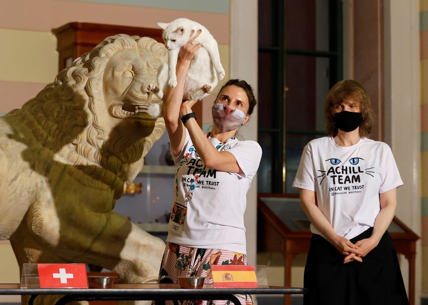 El gato ruso Aquiles pronostica la victoria de España sobre Suiza