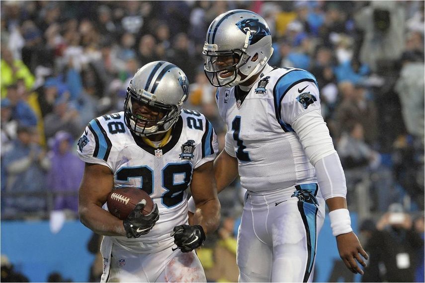 27-16. Newton y Stewart ponen a los Panthers en semifinales de la NFC